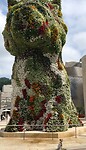 IMG_7738