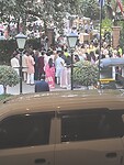 IMG_8141