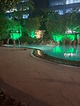 IMG_8203