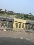 IMG_8234