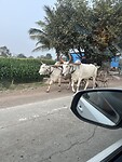 IMG_8238