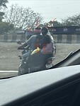 IMG_8252