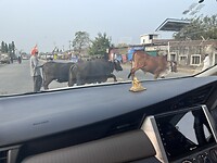 IMG_8268