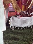 IMG_8340