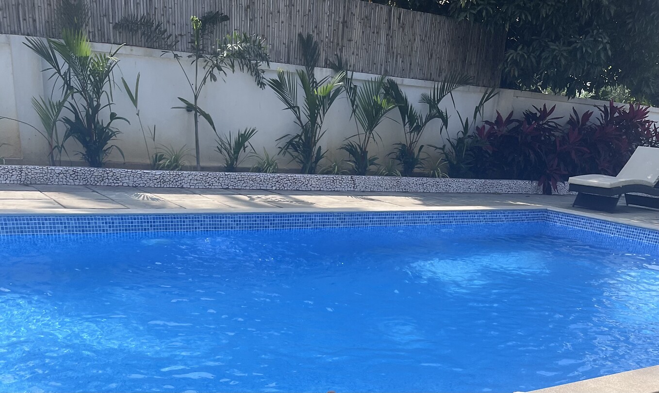 IMG_8518
