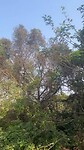 IMG_8511