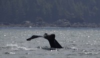 939D9609-B7E2-4183-ADBA-AB3224E39416