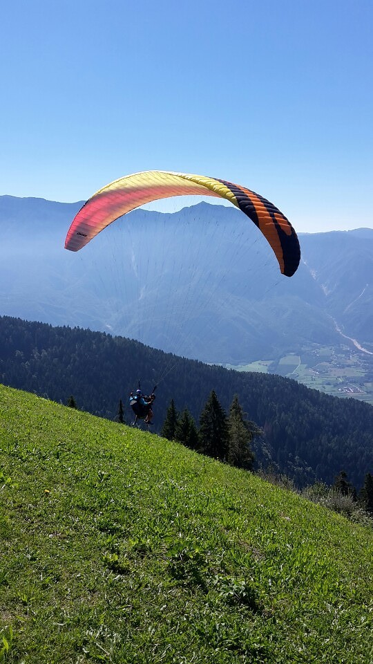 Fly away