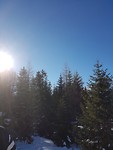 Natuur