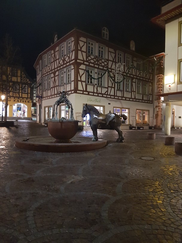 Het plein met vakwerkhuizen