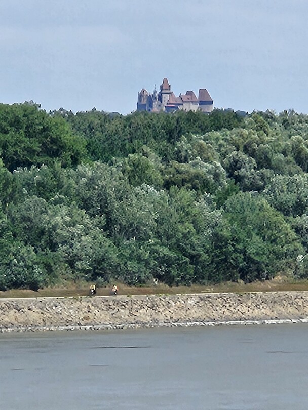 Kasteel in de verte