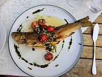 Mmmm Forel