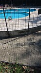 IMG-20250817-WA0006