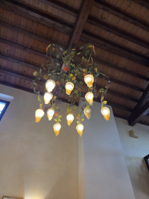 Geweldige lamp met druiventrossen.