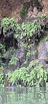 Waterval