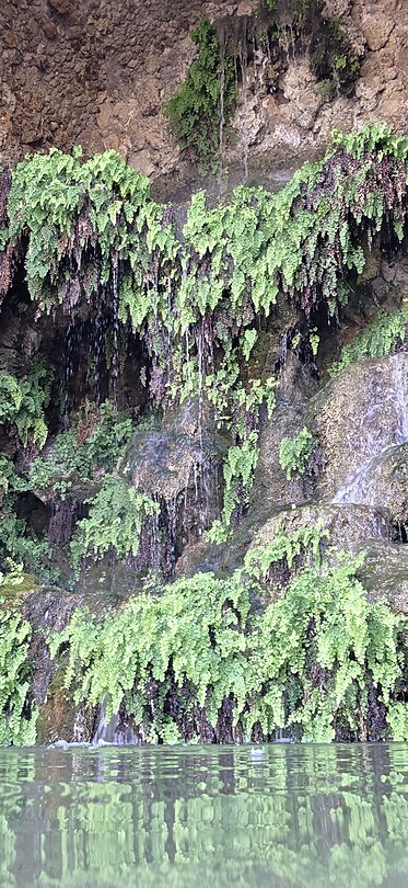 Waterval