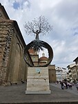 The tree off live