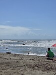 De wilde zee
