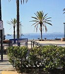 Palmen strand