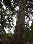 IMG_20180102_125638114