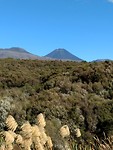 IMG_20180107_171030334