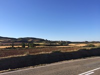 Weids landschap