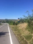 IMG_5834