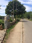Wandelaars