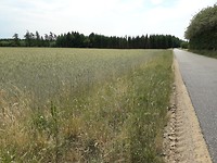 20180609_132543