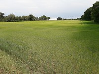 20180609_141247