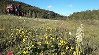 20180704_182146