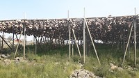 20180717_163233