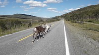 20180727_144923