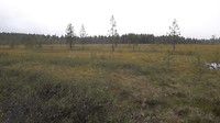 20180814_175820