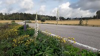 20180825_101115