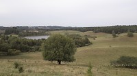 20190908_131504