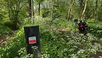IMG_20210516_150923044_HDR