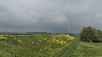 IMG_20210518_102948278_HDR