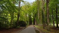 IMG_20210518_170735076