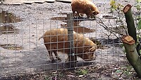 IMG_20210519_152235249