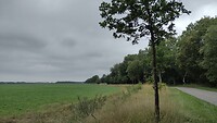 IMG_20210702_123216496_HDR