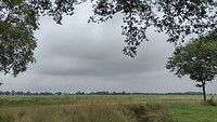 IMG_20210702_123303745_HDR