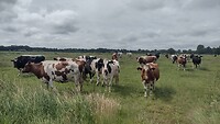 IMG_20220619_114128941_HDR