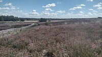 IMG_20220628_113259731_HDR