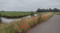 IMG_20220627_113225750_HDR