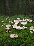 IMG_20230813_140751831