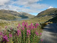 IMG_20230817_101332882_HDR