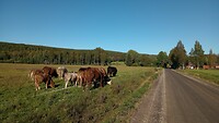 IMG_20230904_170014792