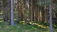IMG_20230904_121116909