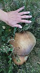 IMG_20230904_175358839